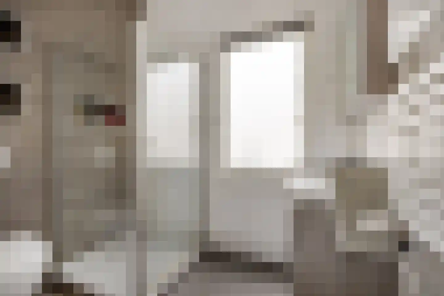 Breestraat 63 A Leiden thumbnail 21