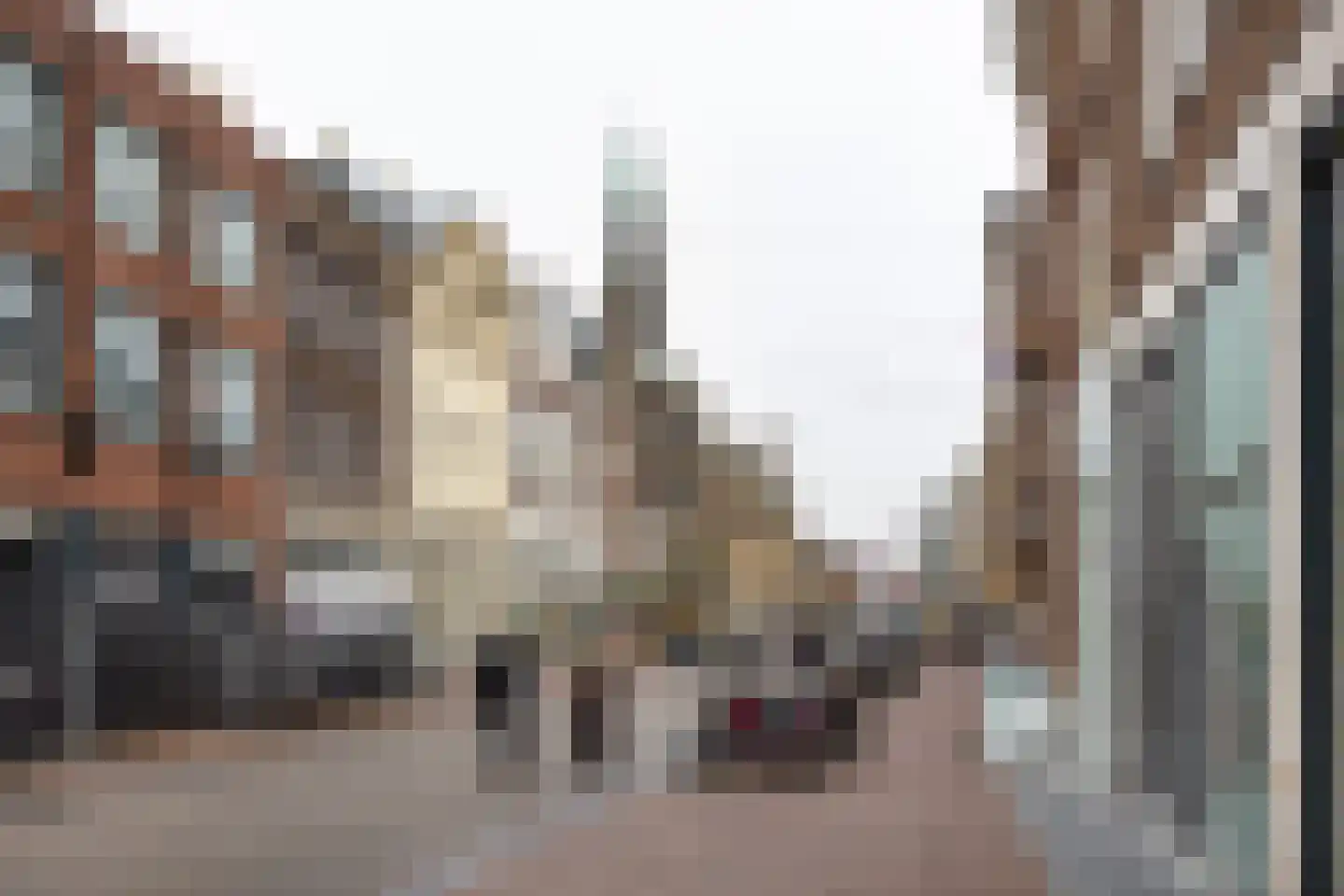 Breestraat 63 A Leiden thumbnail 35