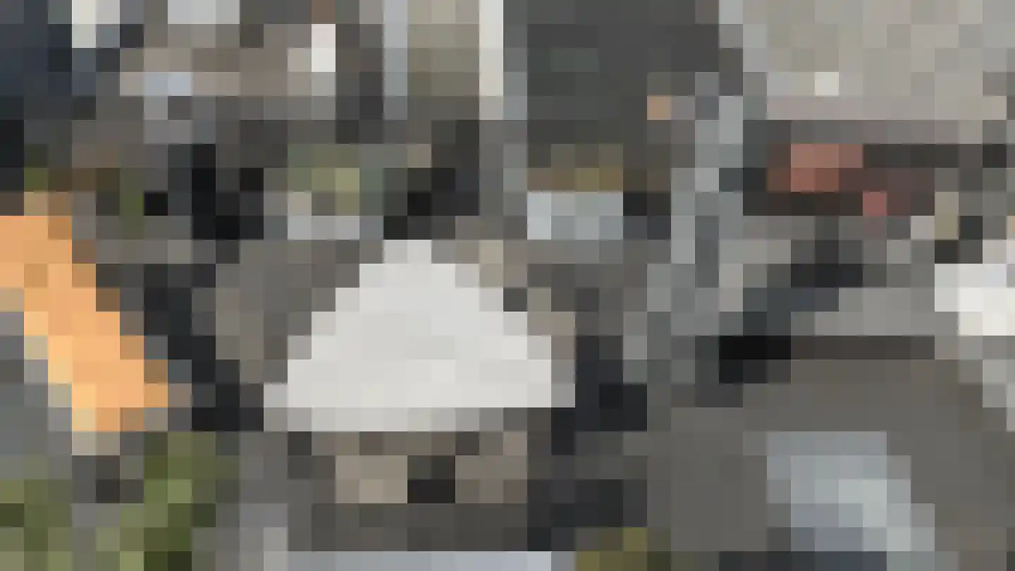 Breestraat 63 A Leiden thumbnail 36