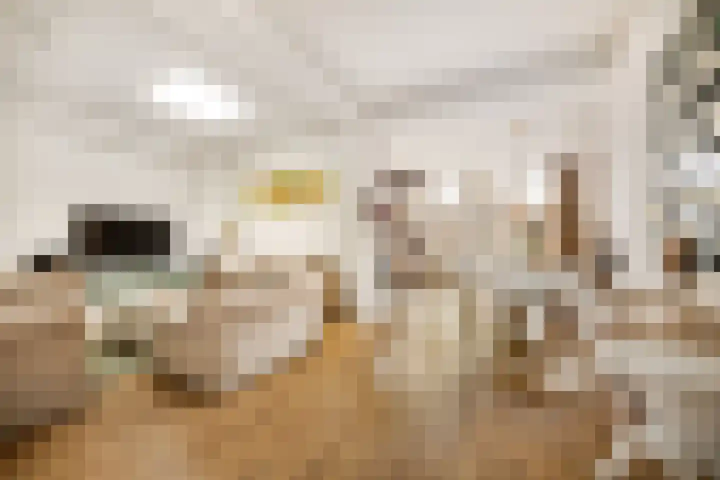 Breestraat 63 A Leiden thumbnail 5