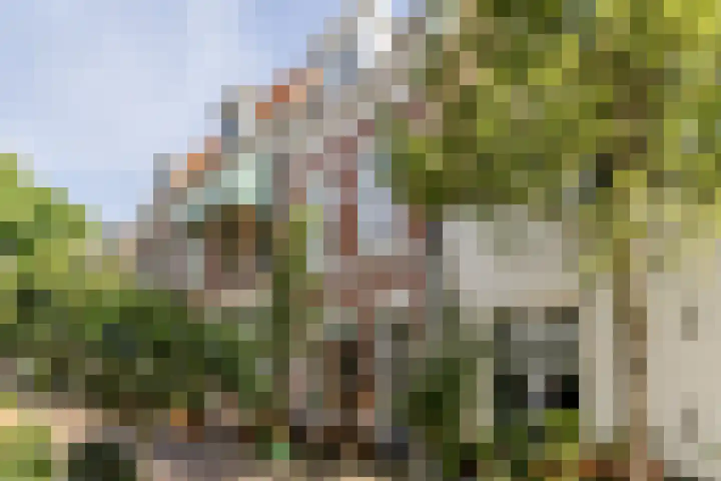 Breestraat 7 Haarlem