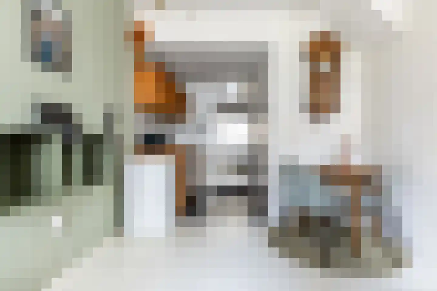 Breestraat 7 Haarlem thumbnail 11