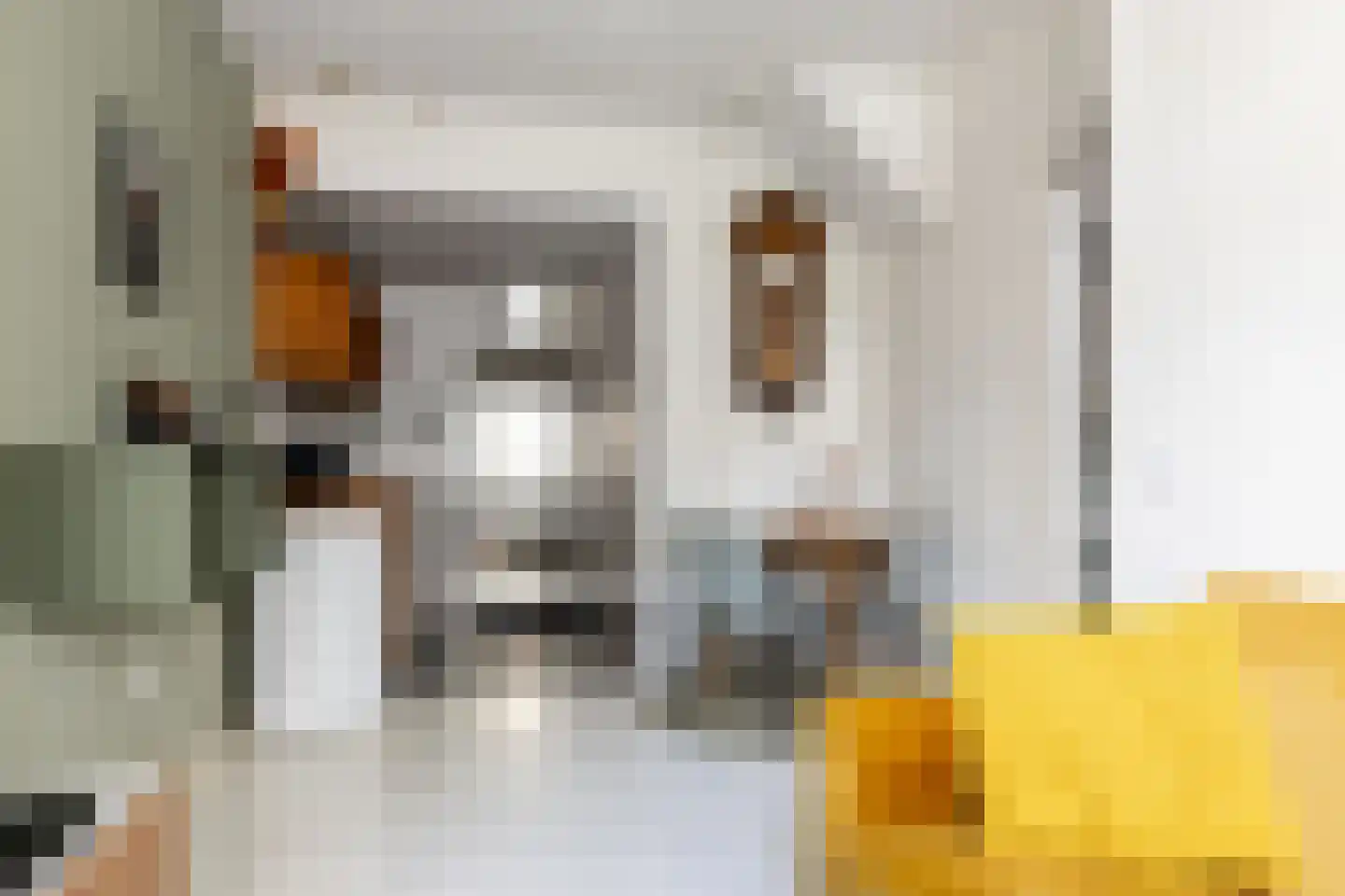Breestraat 7 Haarlem thumbnail 13