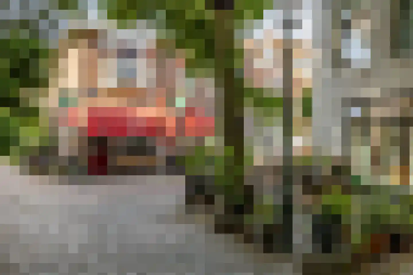 Breestraat 7 Haarlem thumbnail 24