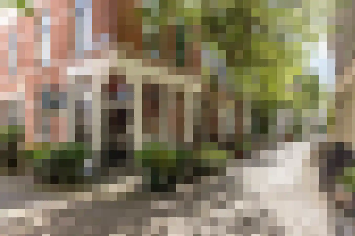 Breestraat 7 Haarlem thumbnail 26