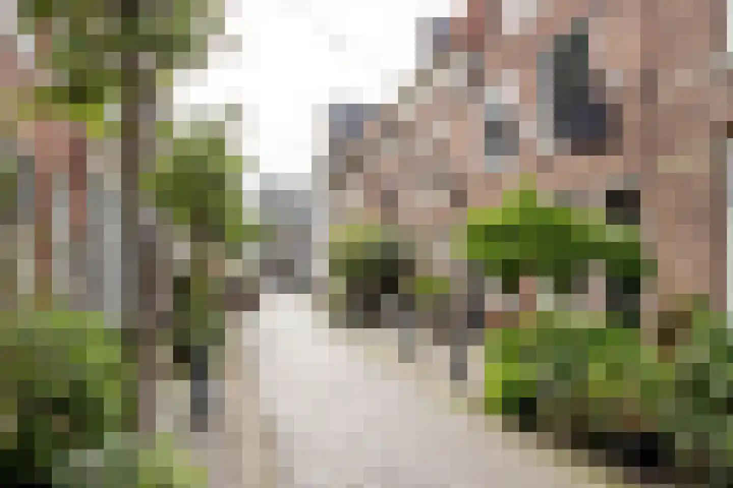 Breestraat 7 Haarlem thumbnail 27