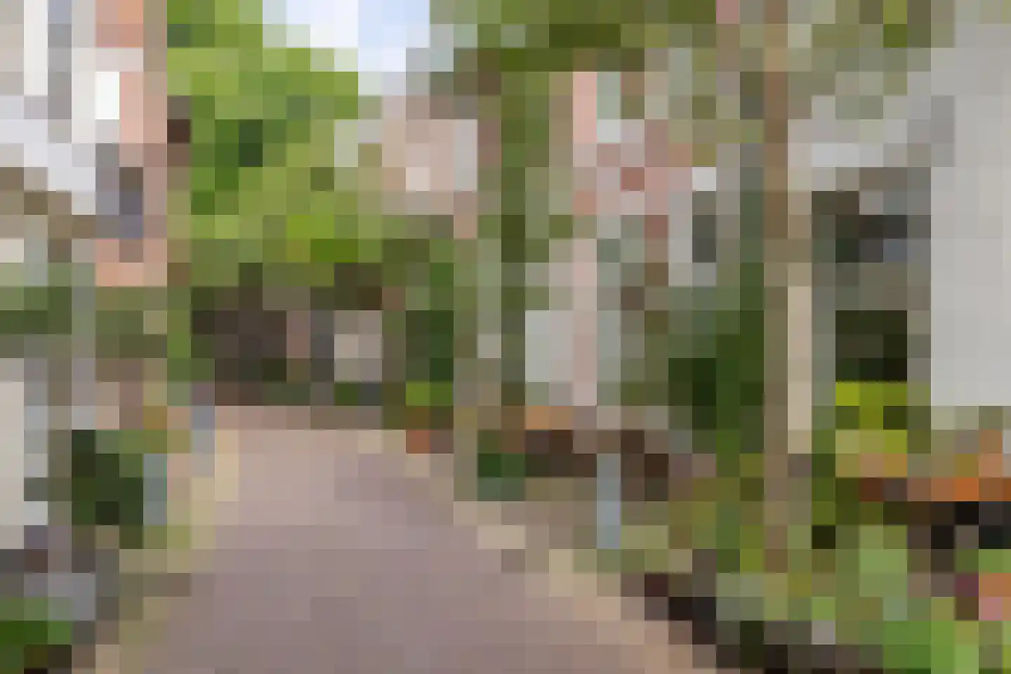 Breestraat 7 Haarlem thumbnail 29