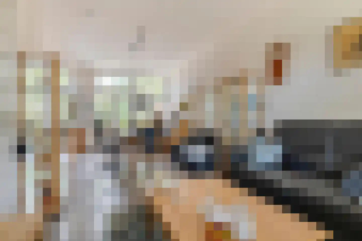 Breestraat 76 Koog aan de Zaan thumbnail 8