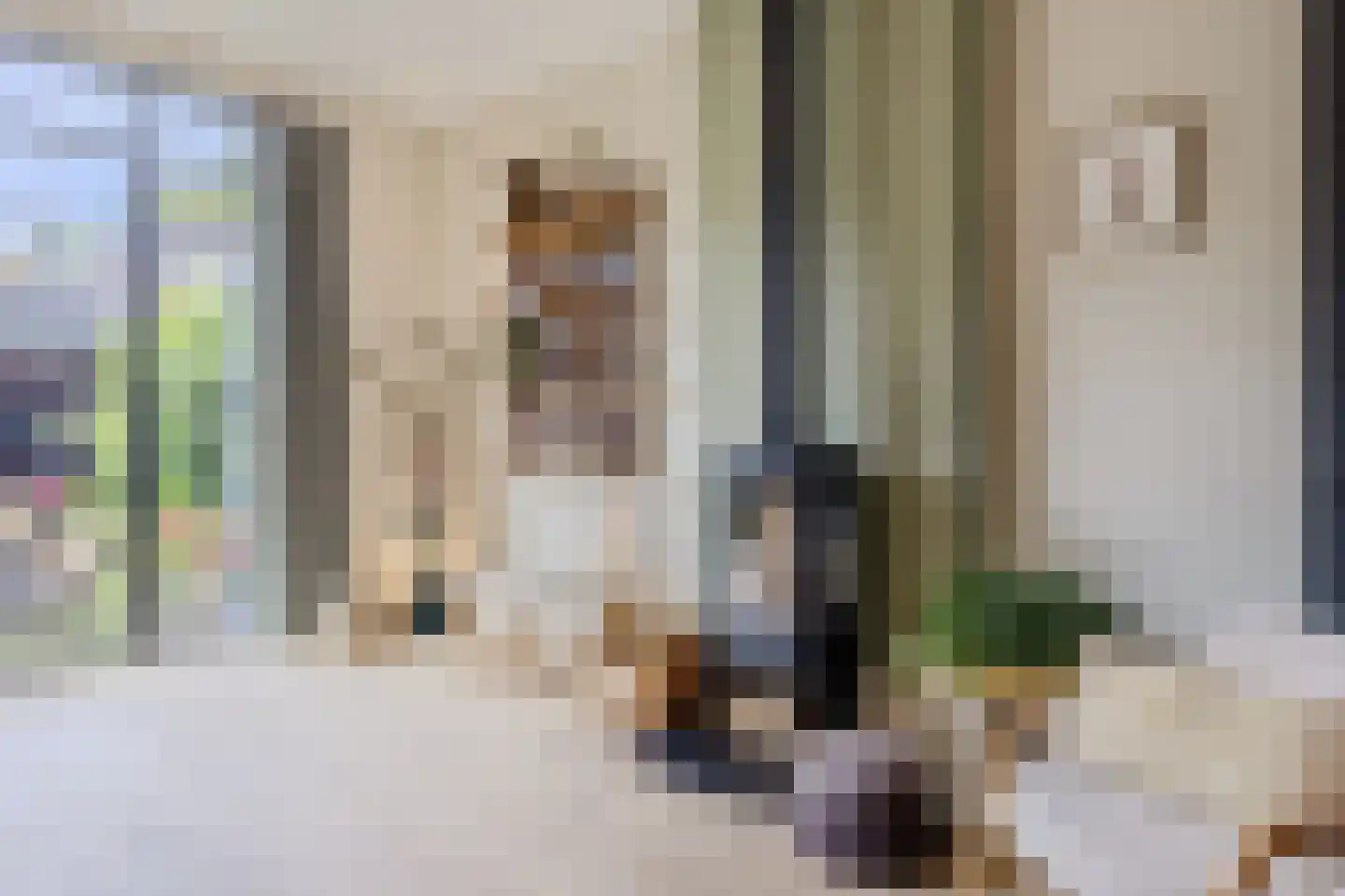 Breestraat 83 Koog aan de Zaan thumbnail 10
