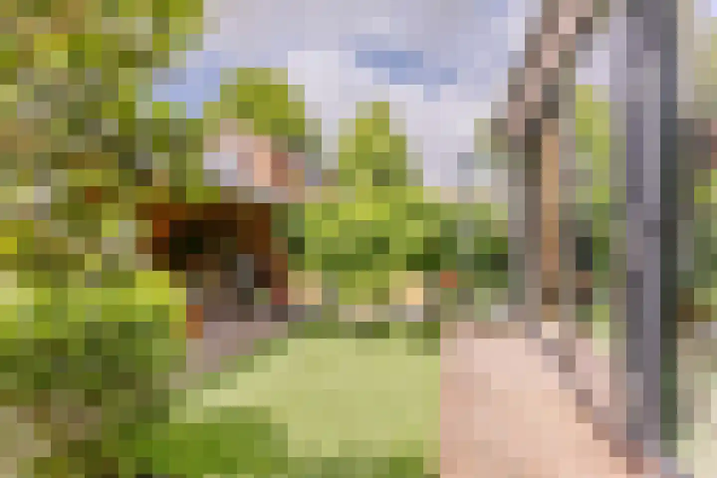 Breestraat 83 Koog aan de Zaan thumbnail 11