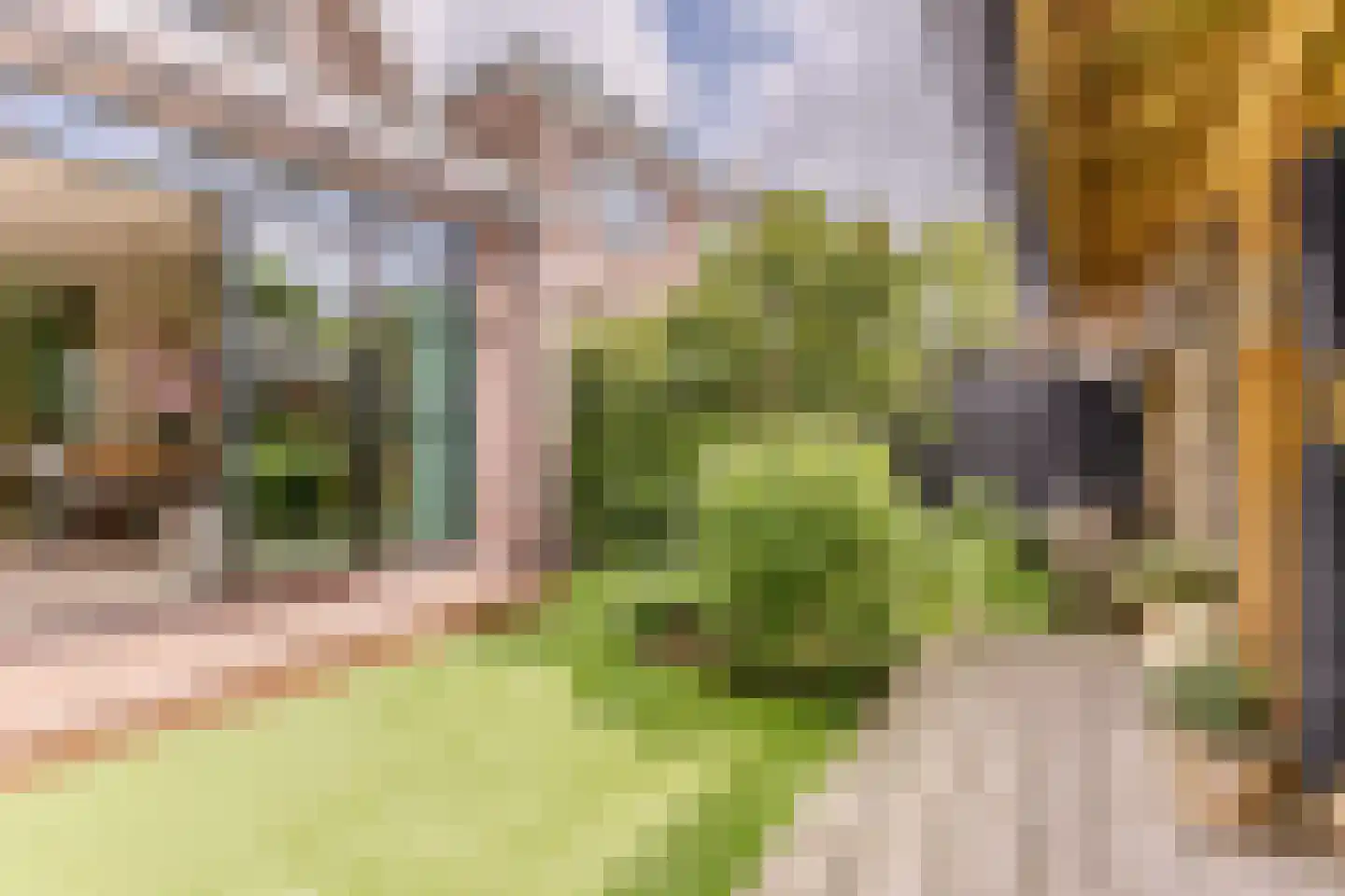 Breestraat 83 Koog aan de Zaan thumbnail 12