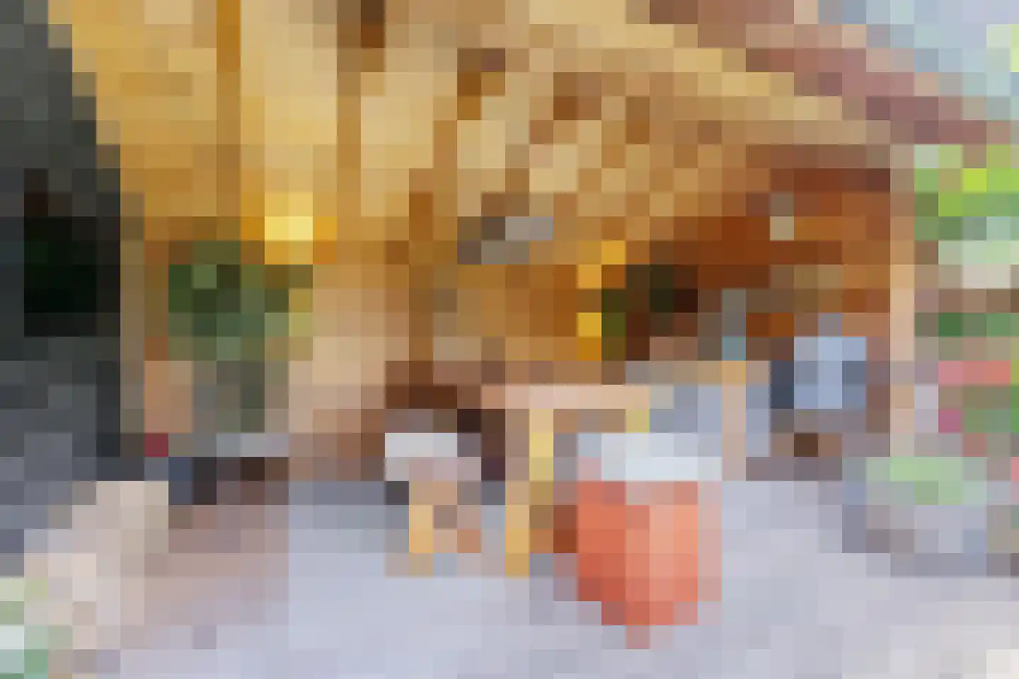 Breestraat 83 Koog aan de Zaan thumbnail 13