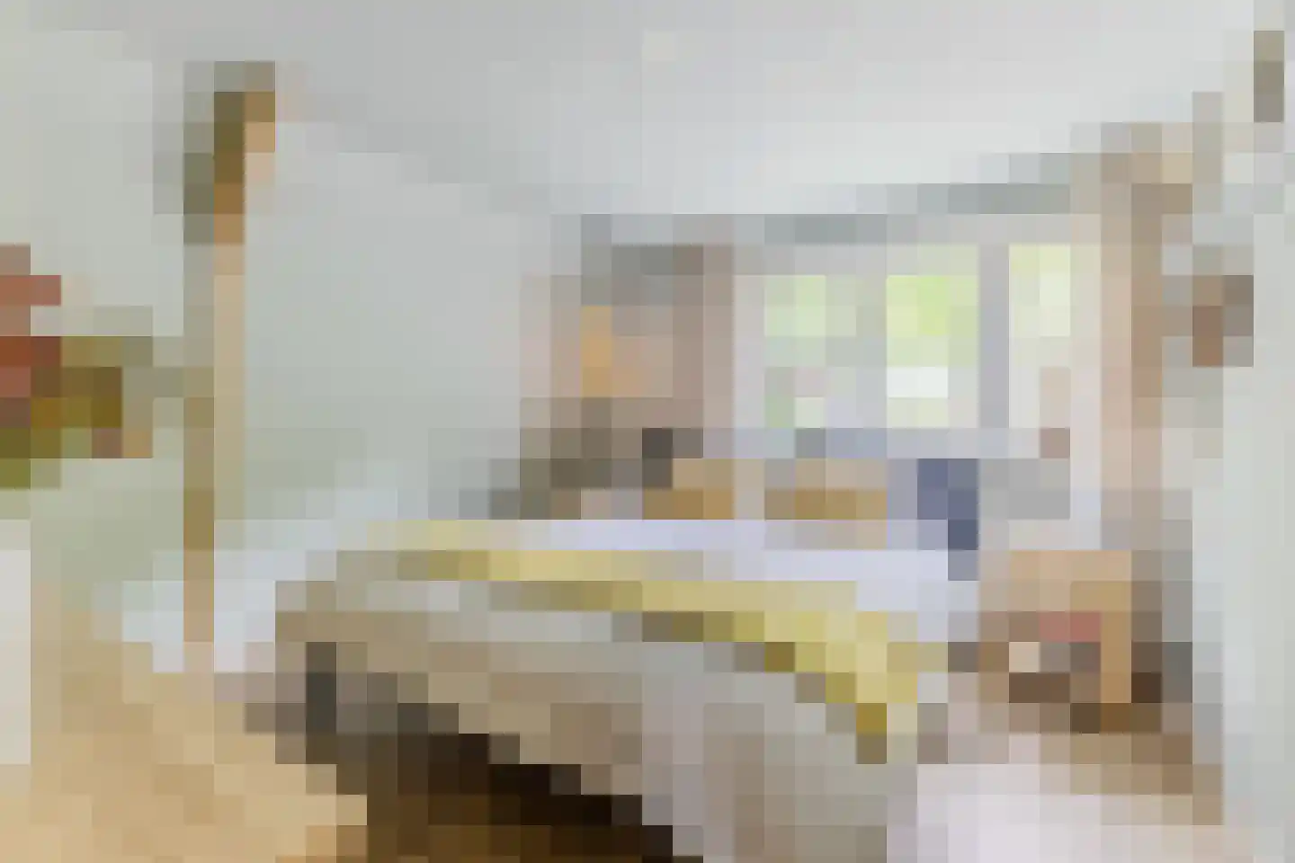 Breestraat 83 Koog aan de Zaan thumbnail 15