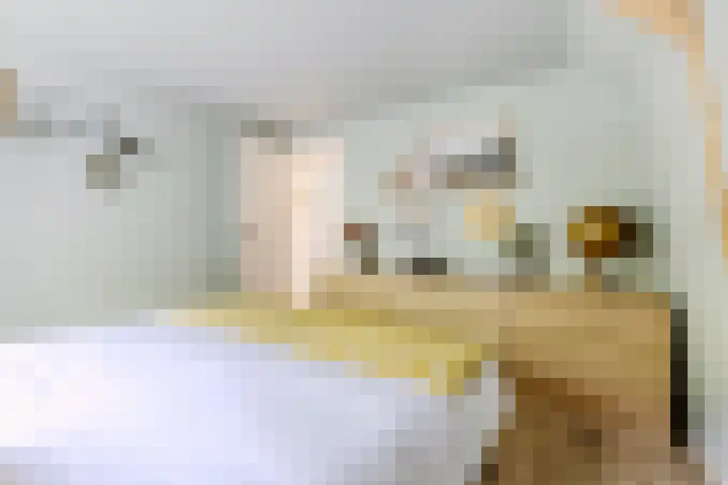 Breestraat 83 Koog aan de Zaan thumbnail 16