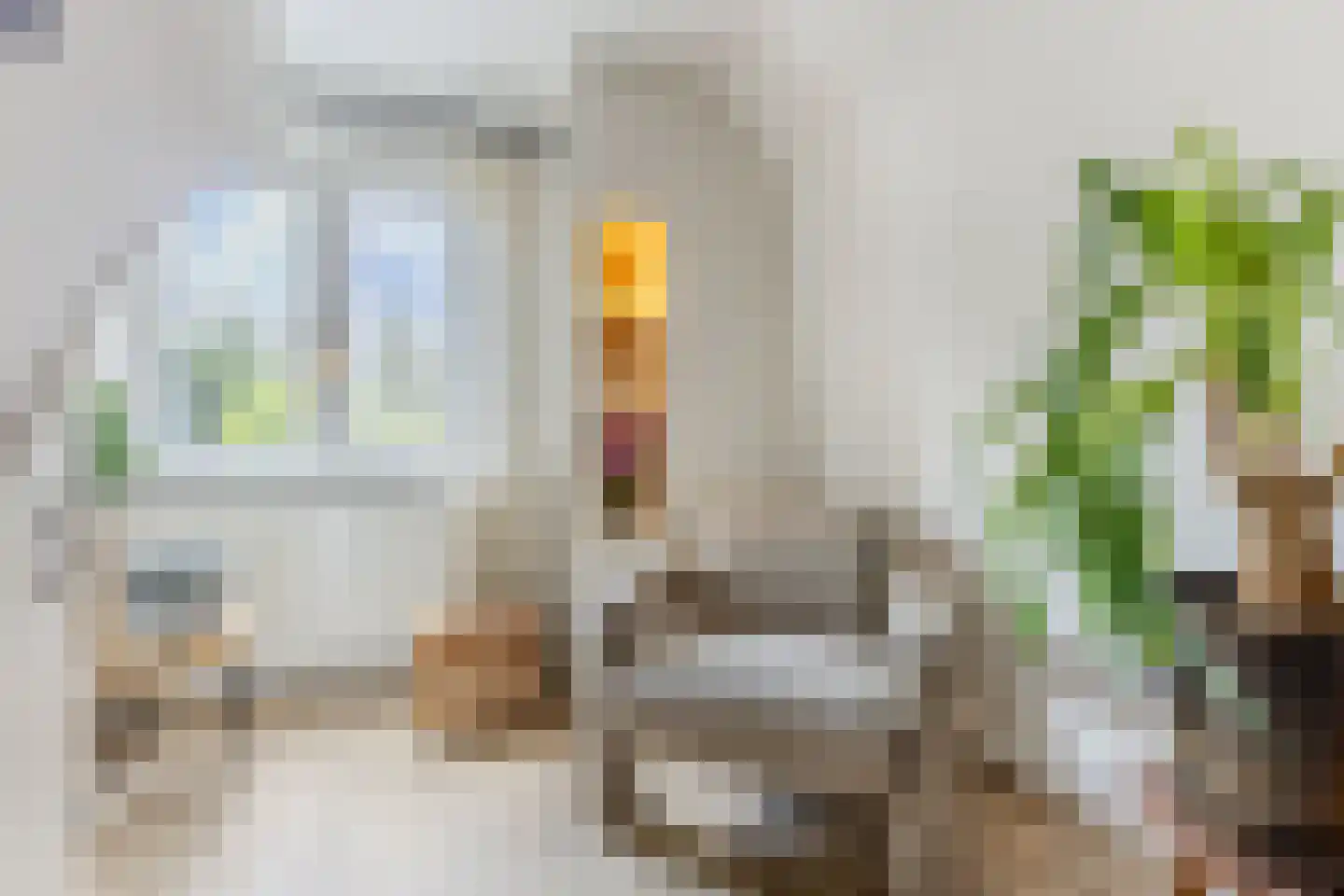 Breestraat 83 Koog aan de Zaan thumbnail 19