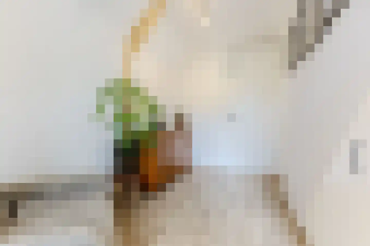 Breestraat 83 Koog aan de Zaan thumbnail 20