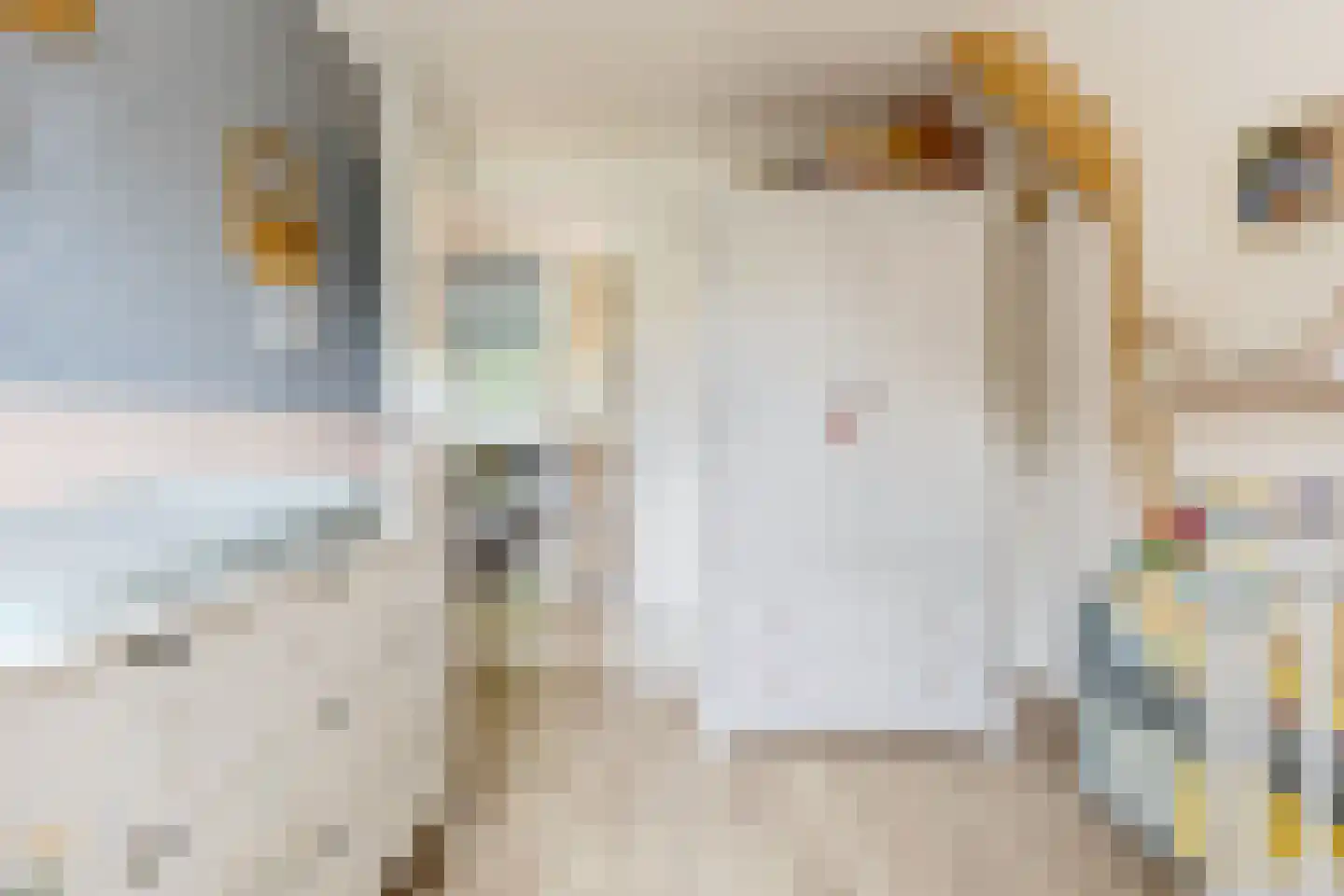 Breestraat 83 Koog aan de Zaan thumbnail 22