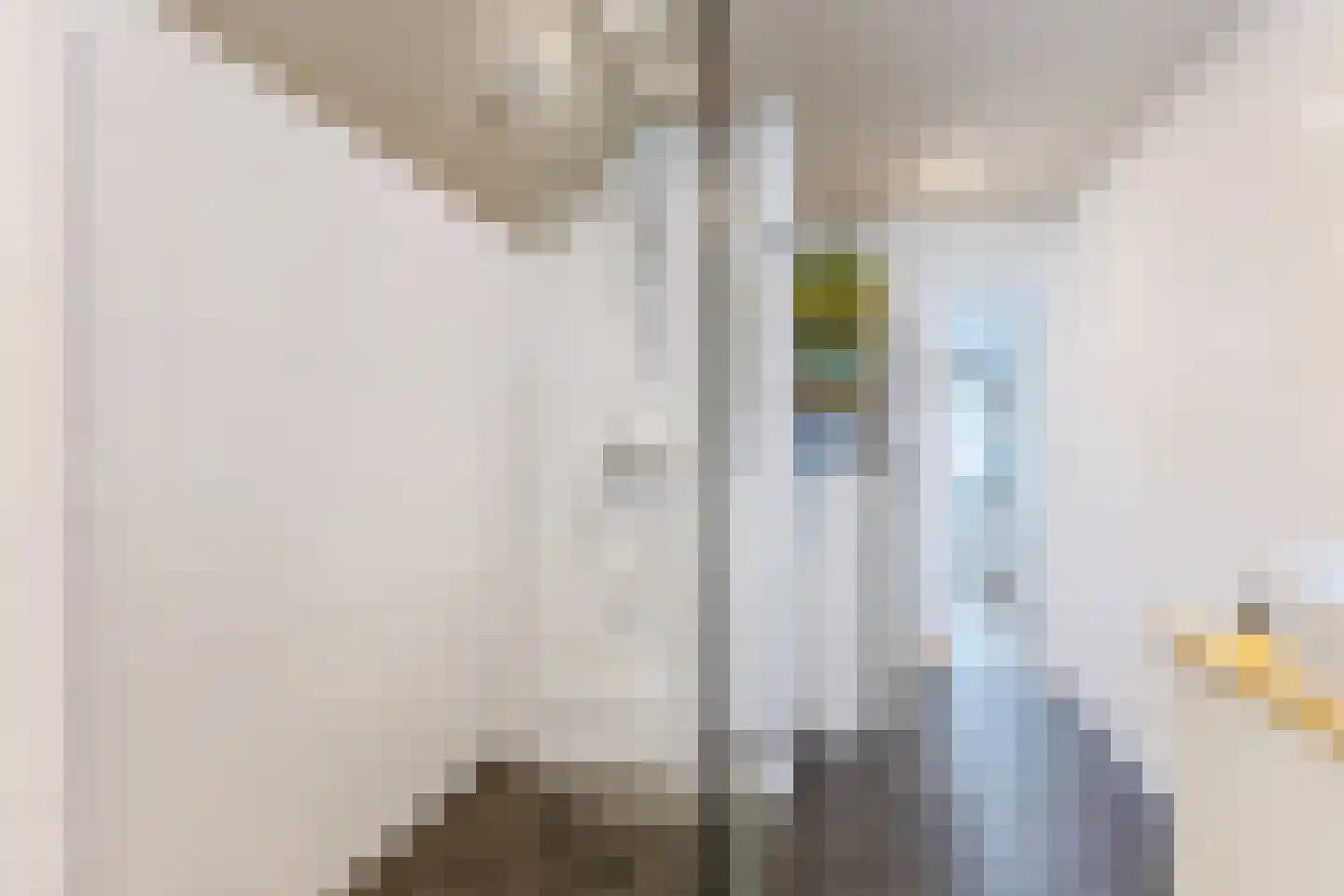 Breestraat 83 Koog aan de Zaan thumbnail 25