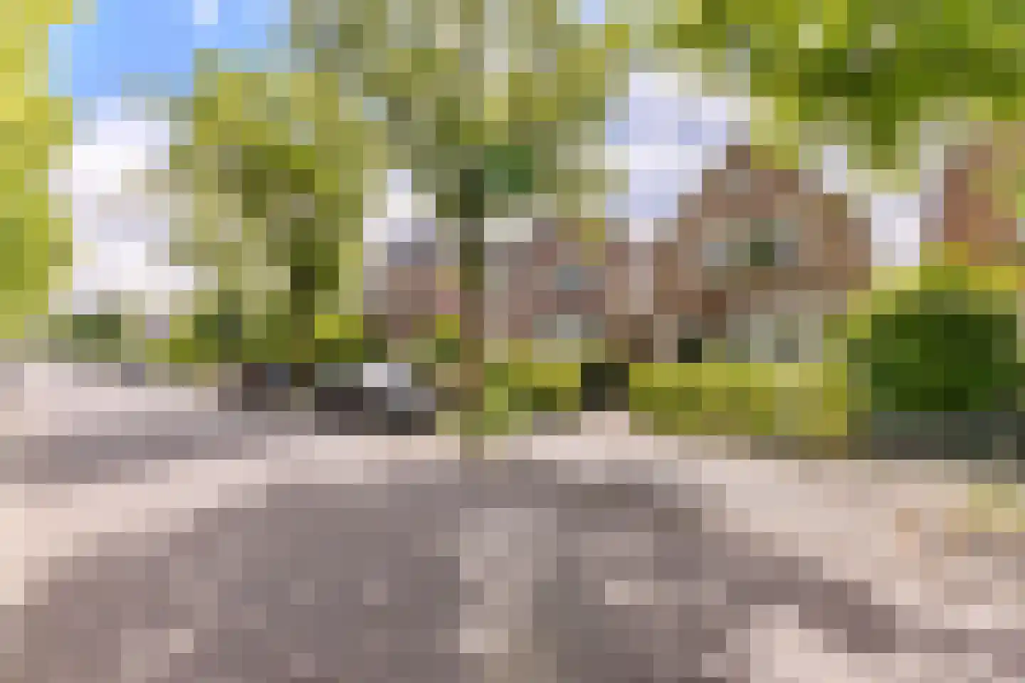 Breestraat 83 Koog aan de Zaan thumbnail 31