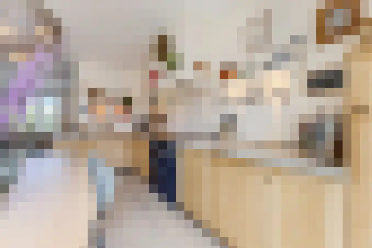Breestraat 83 Koog aan de Zaan thumbnail 8