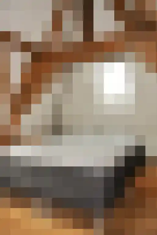 Breestraat 89 E Leiden thumbnail 19