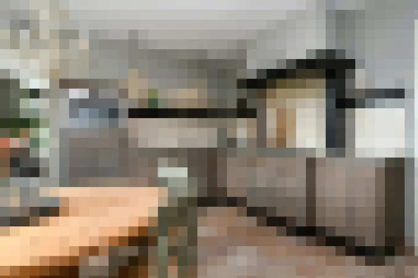 Breetse Peelweg 16 Maasbree thumbnail 16