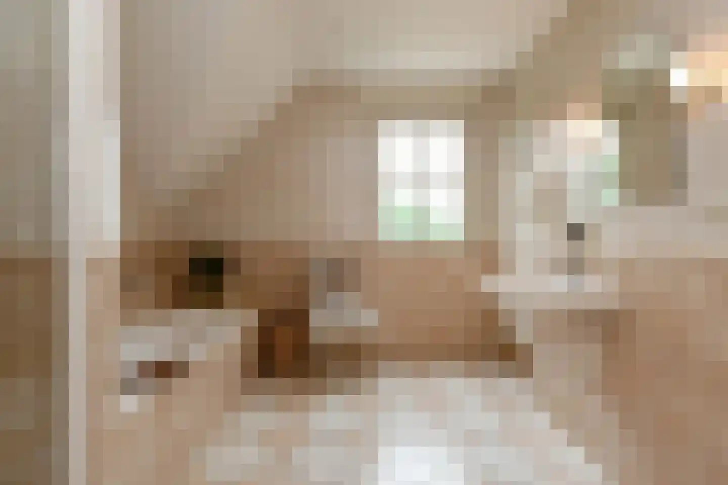 Breetse Peelweg 16 Maasbree thumbnail 23