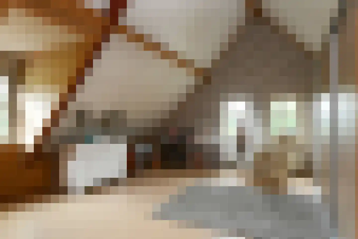Breetse Peelweg 16 Maasbree thumbnail 29