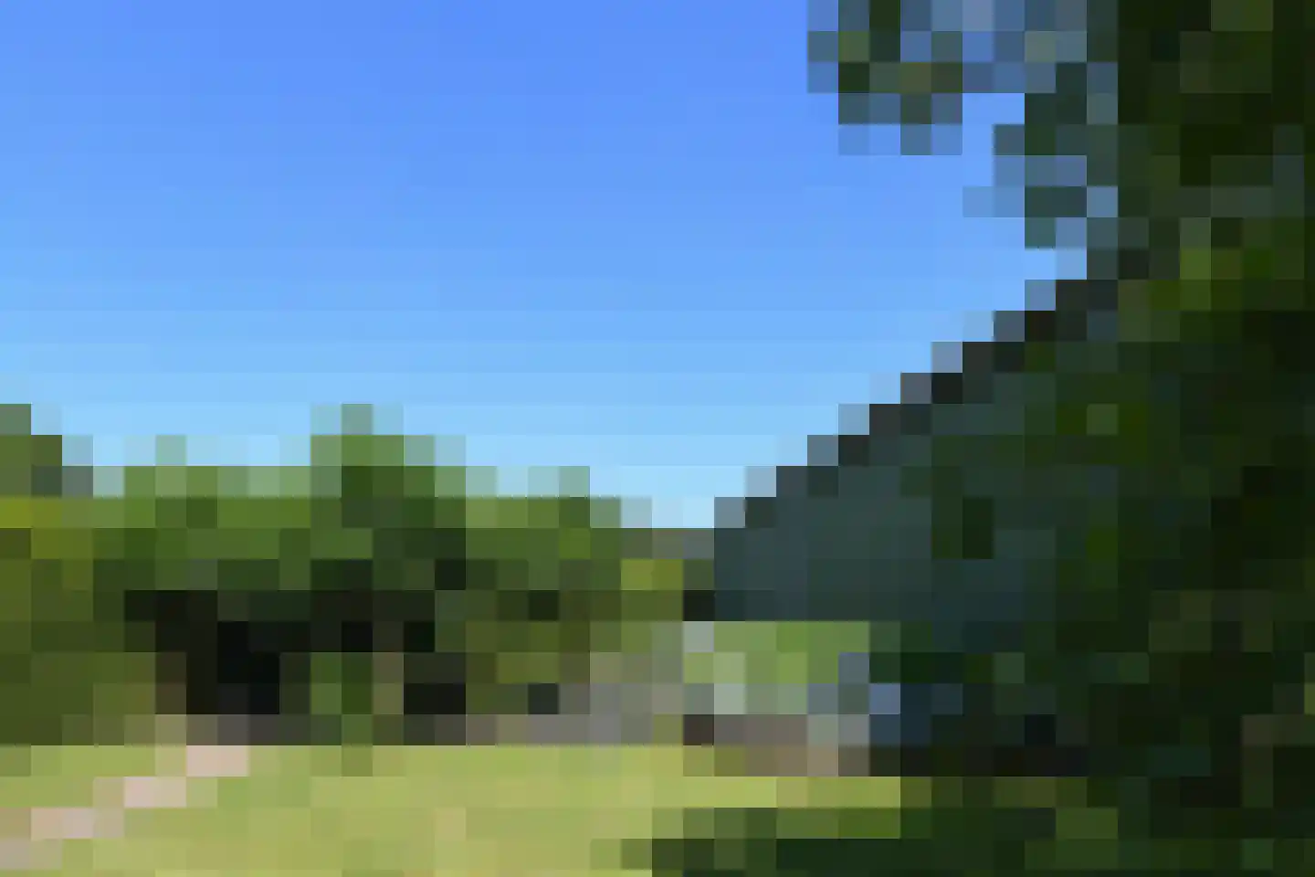 Breetse Peelweg 16 Maasbree thumbnail 37