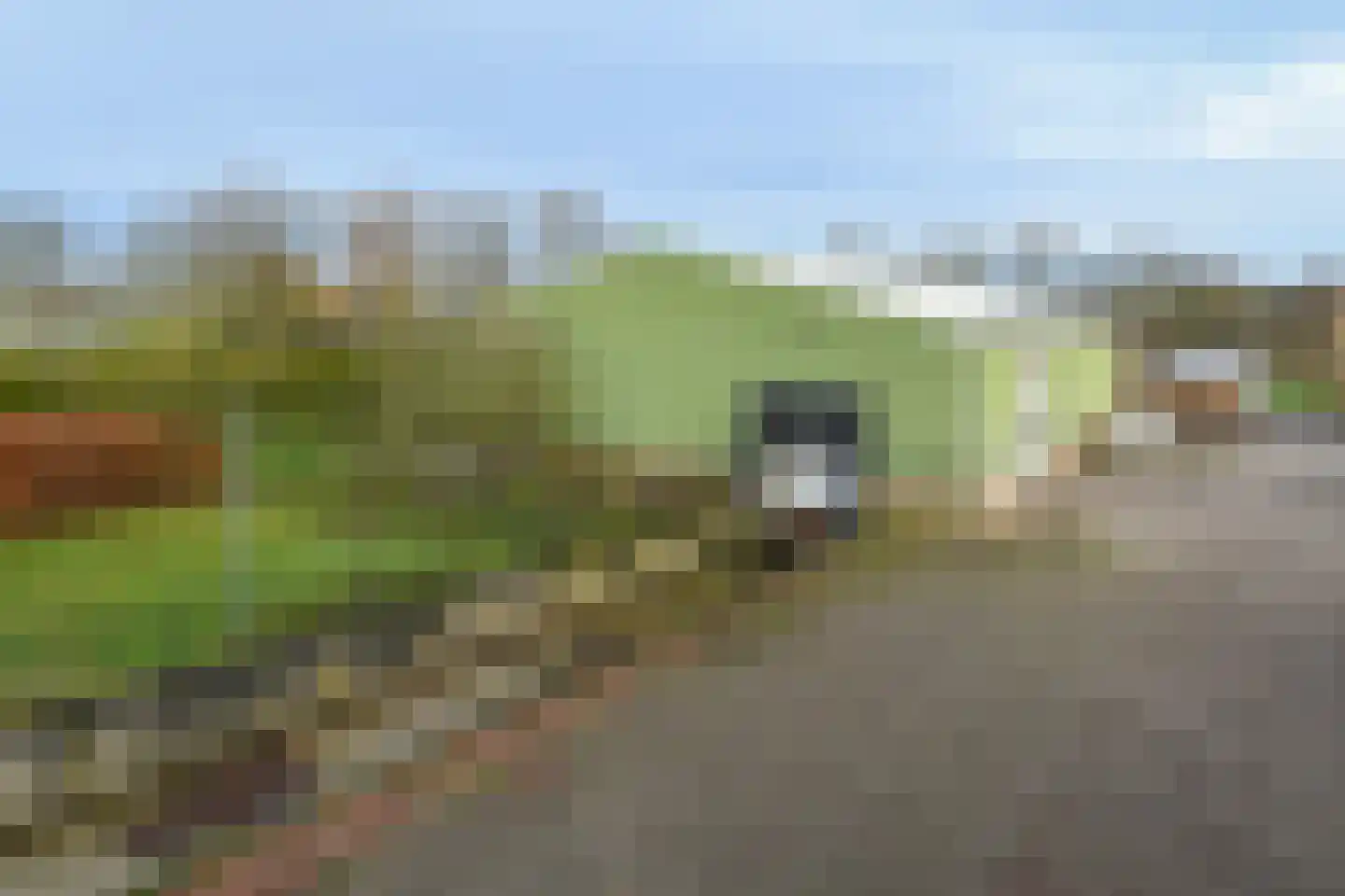 Breetse Peelweg 16 Maasbree thumbnail 45