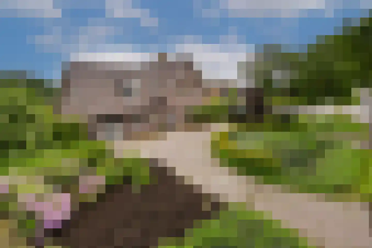 Breetse Peelweg 16 Maasbree thumbnail 6