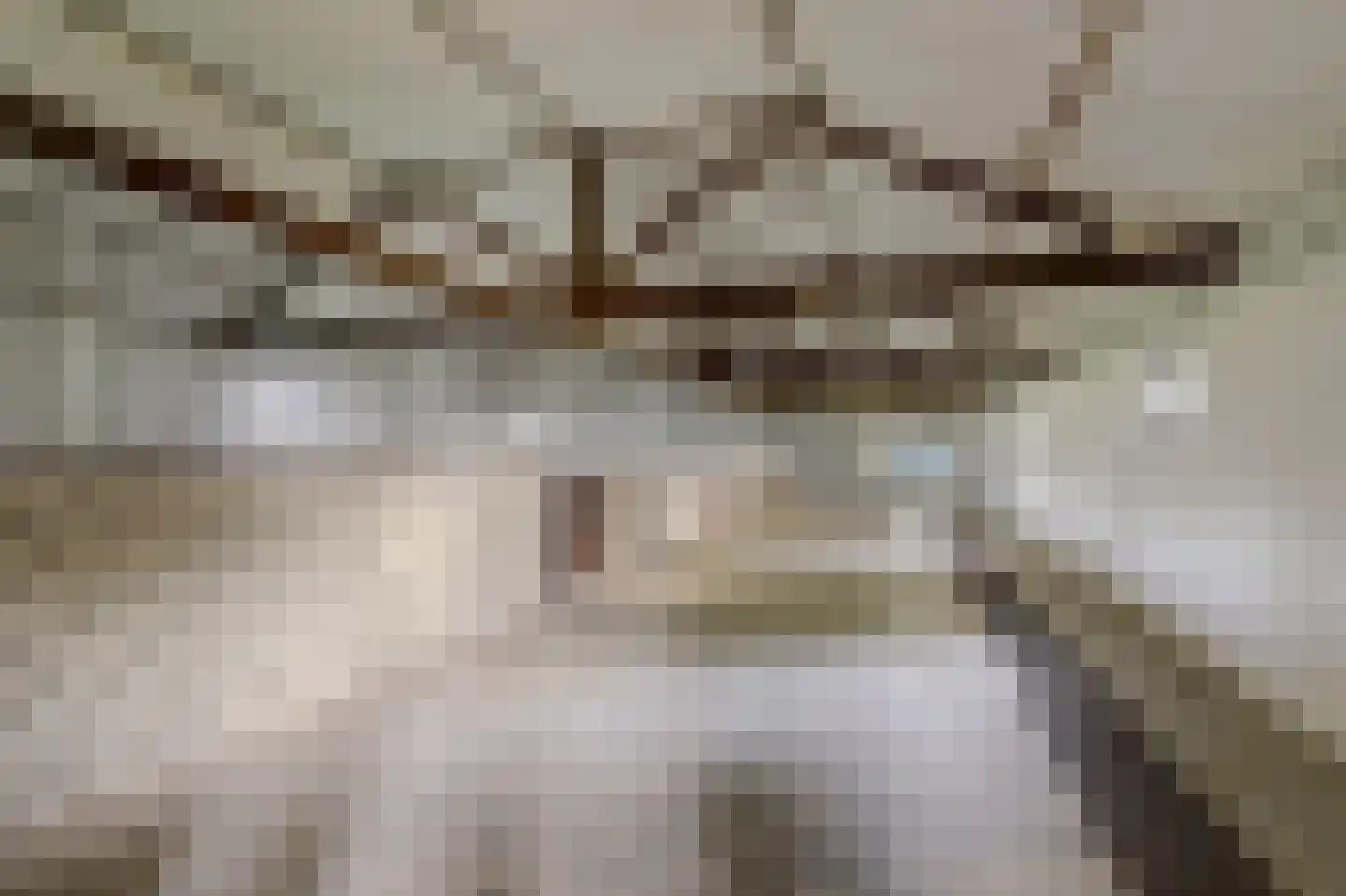 Breetse Peelweg 4 Maasbree thumbnail 30