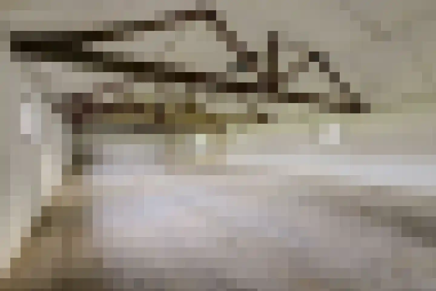 Breetse Peelweg 4 Maasbree thumbnail 31