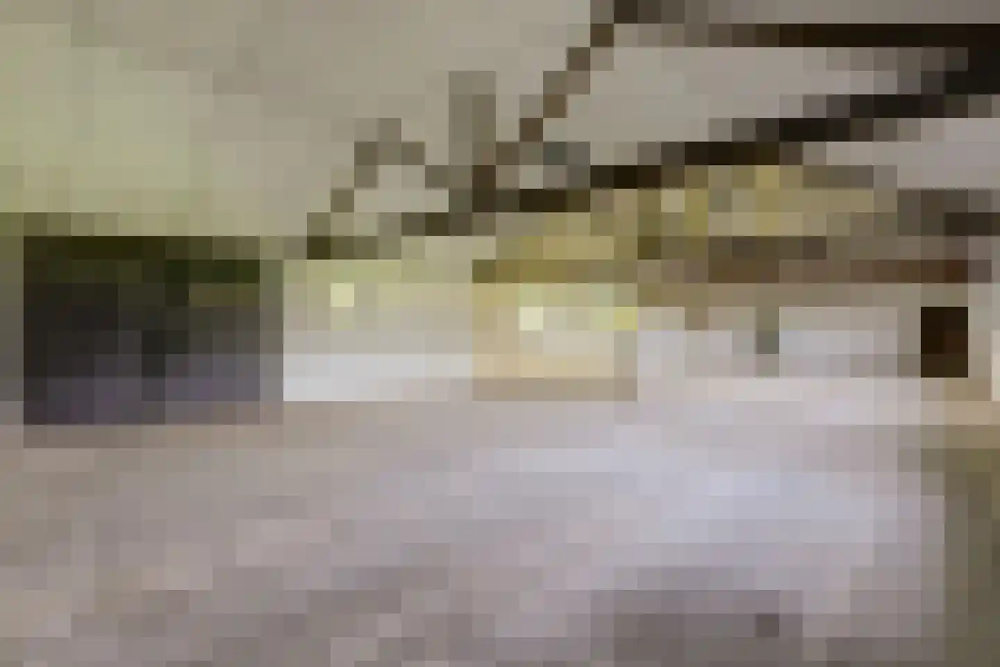 Breetse Peelweg 4 Maasbree thumbnail 32