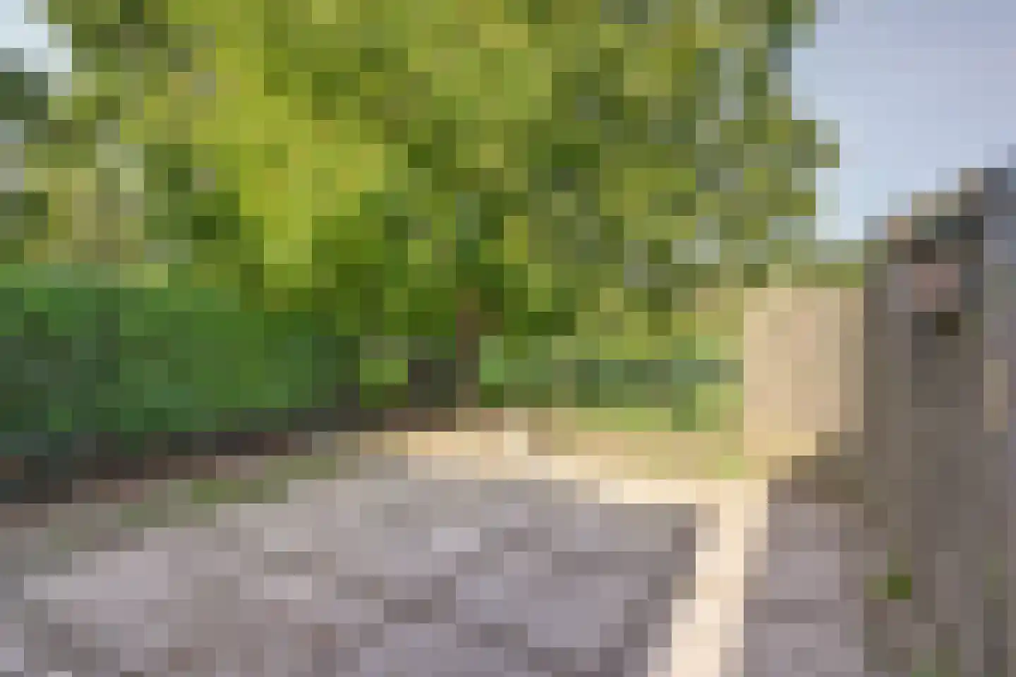 Breetse Peelweg 4 Maasbree thumbnail 37