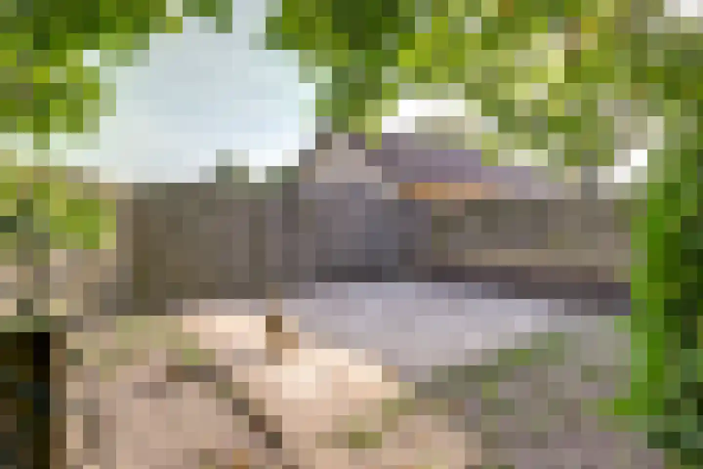 Breetse Peelweg 4 Maasbree thumbnail 38