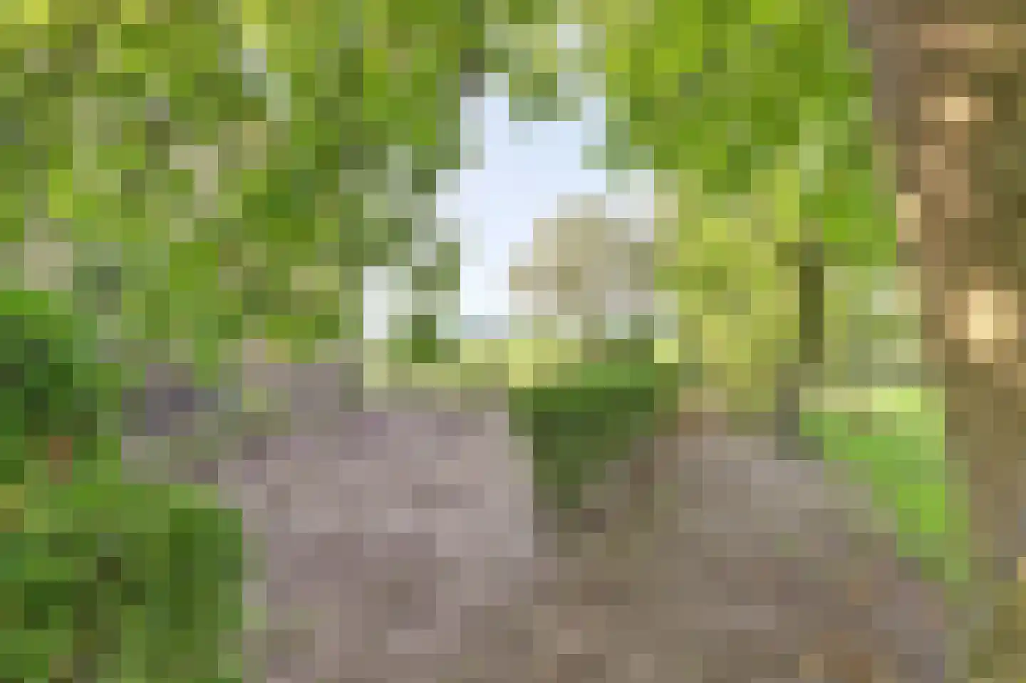 Breetse Peelweg 4 Maasbree thumbnail 39