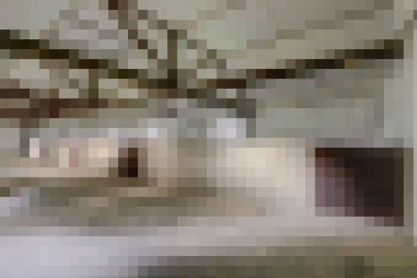 Breetse Peelweg 4 Maasbree thumbnail 4