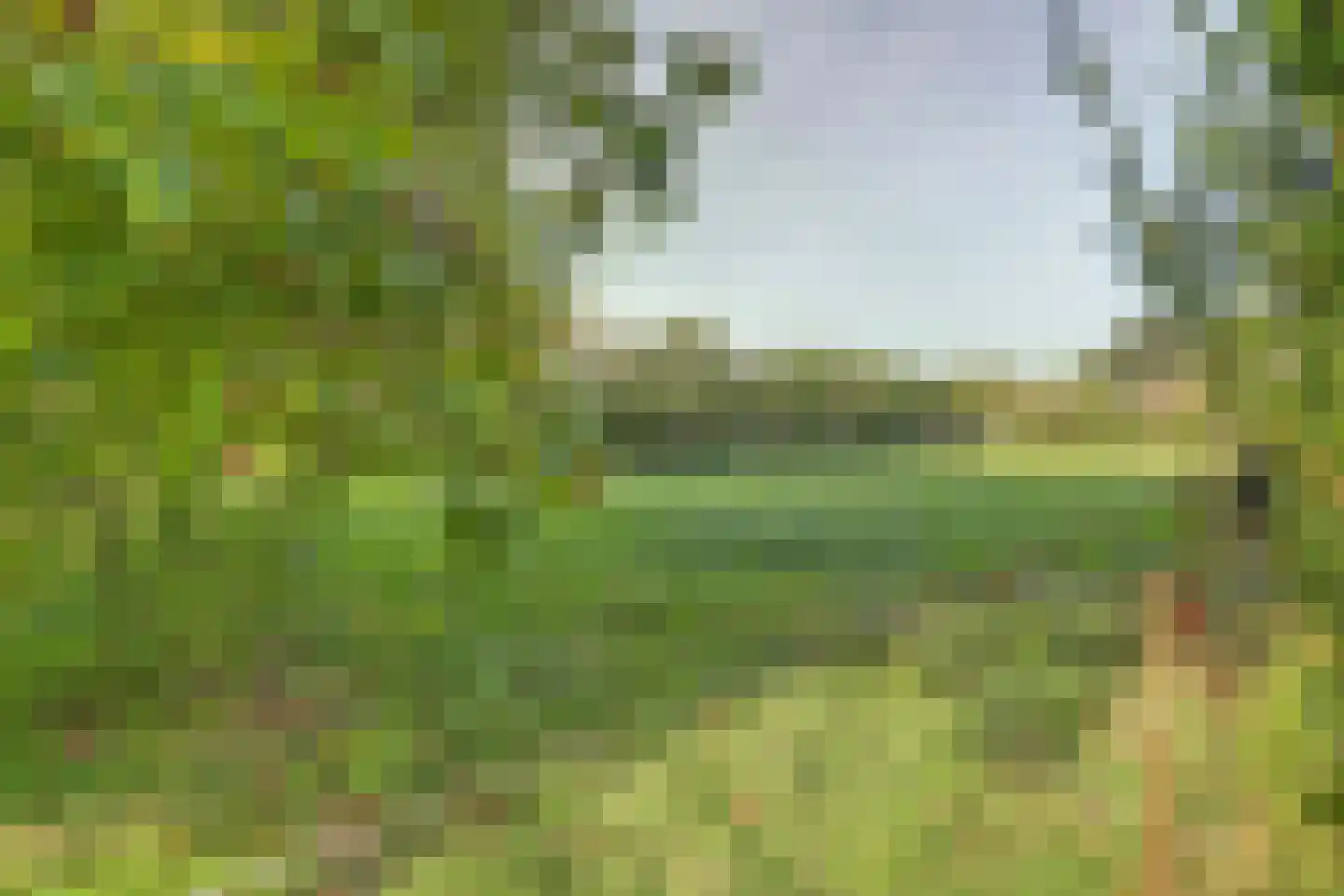 Breetse Peelweg 4 Maasbree thumbnail 40