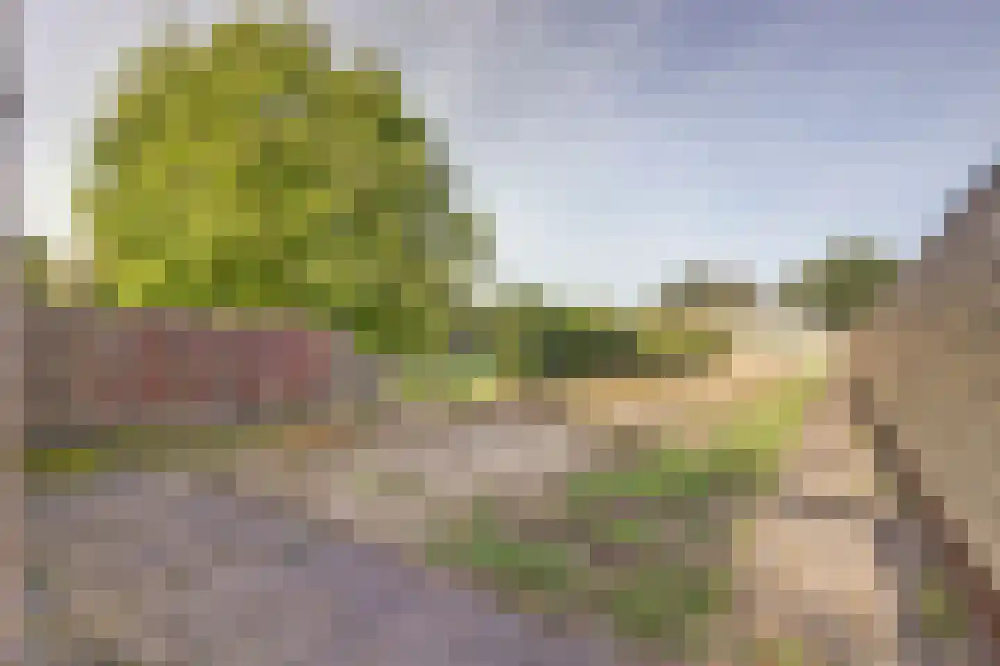 Breetse Peelweg 4 Maasbree thumbnail 41