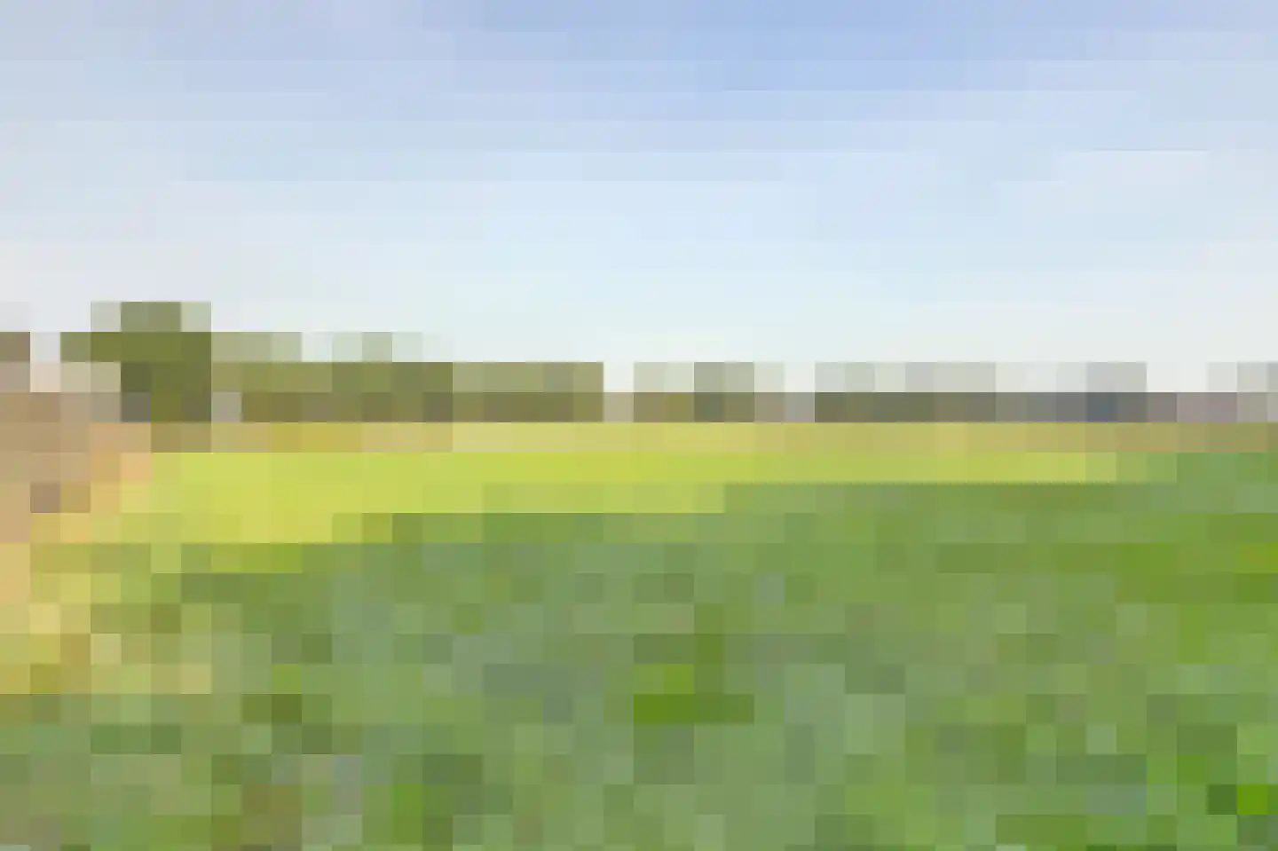 Breetse Peelweg 4 Maasbree thumbnail 43