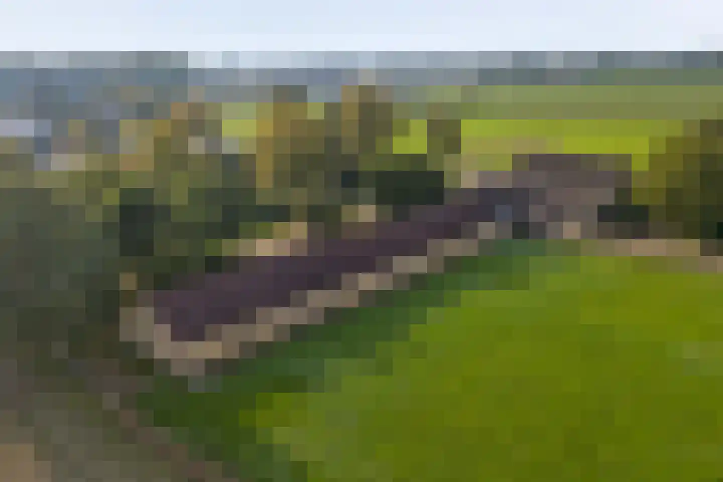 Breetse Peelweg 4 Maasbree thumbnail 5