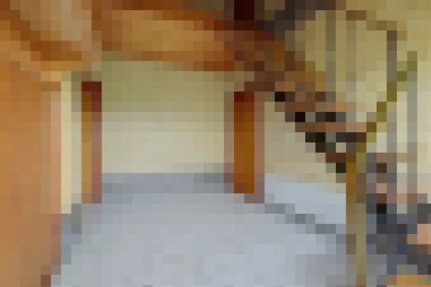 Breetse Peelweg 4 Maasbree thumbnail 6