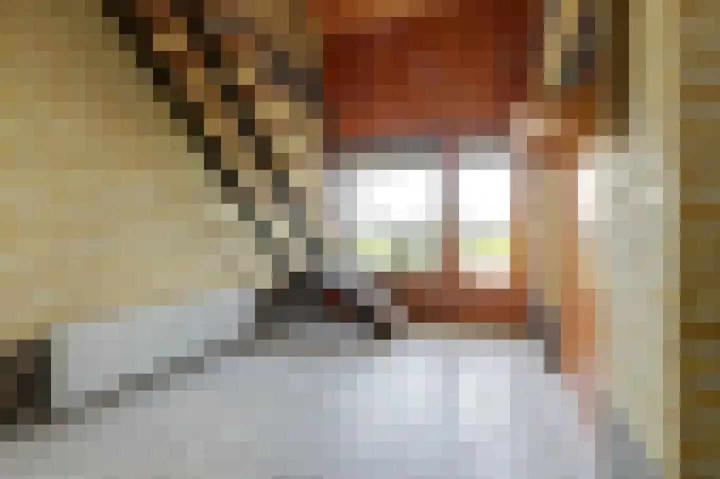 Breetse Peelweg 4 Maasbree thumbnail 7