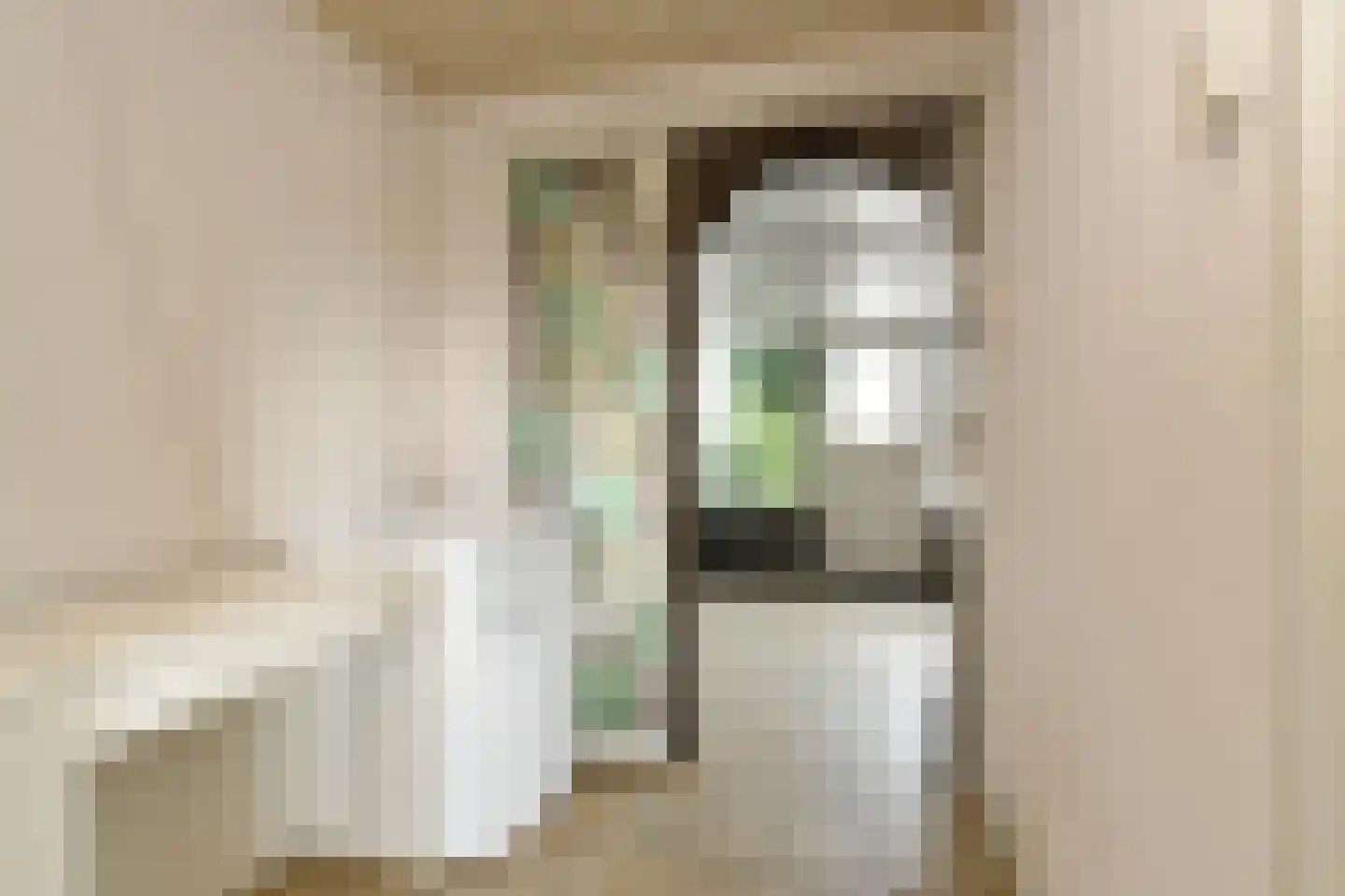 Breetse Peelweg 7 Maasbree thumbnail 30