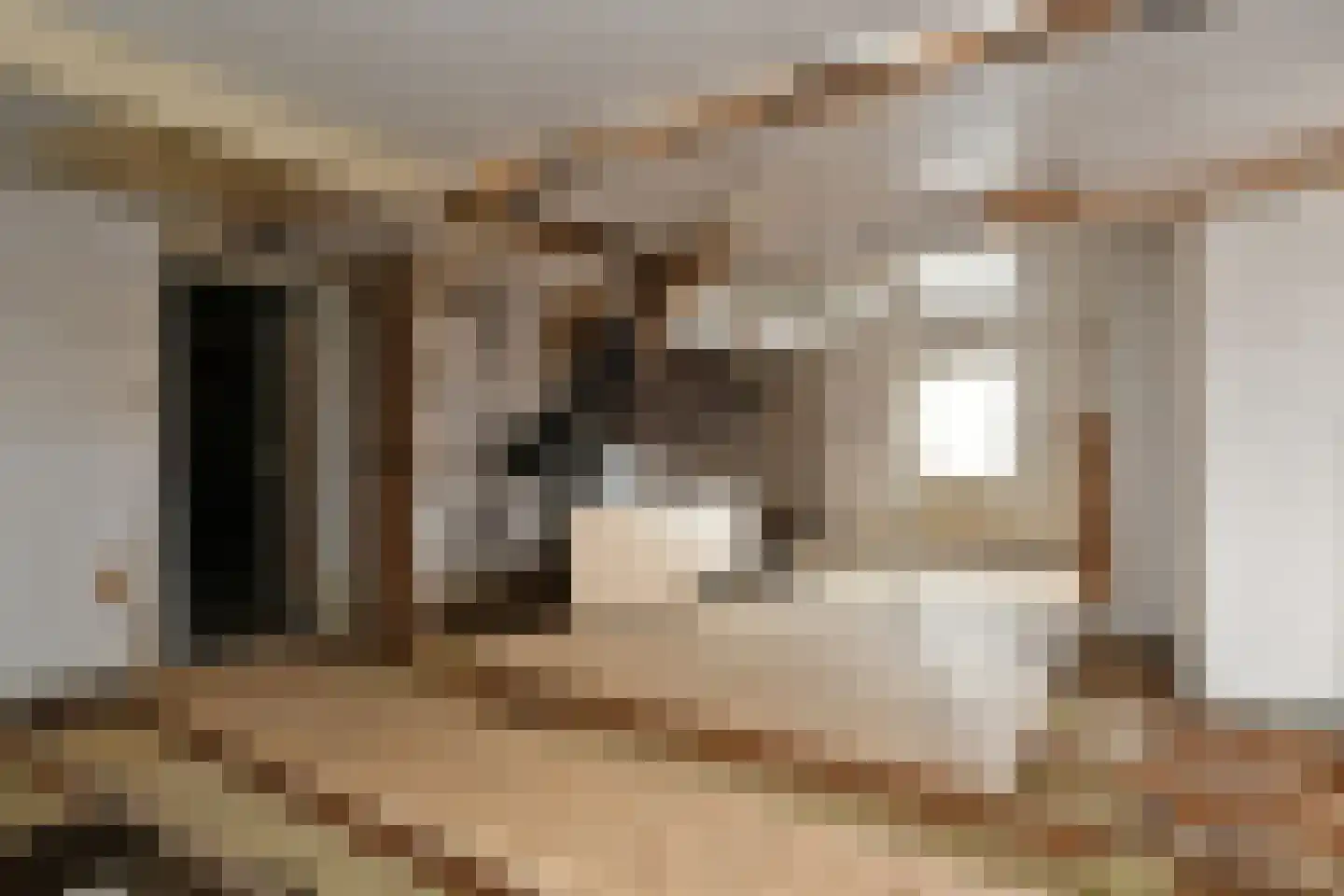 Breetse Peelweg 7 Maasbree thumbnail 37