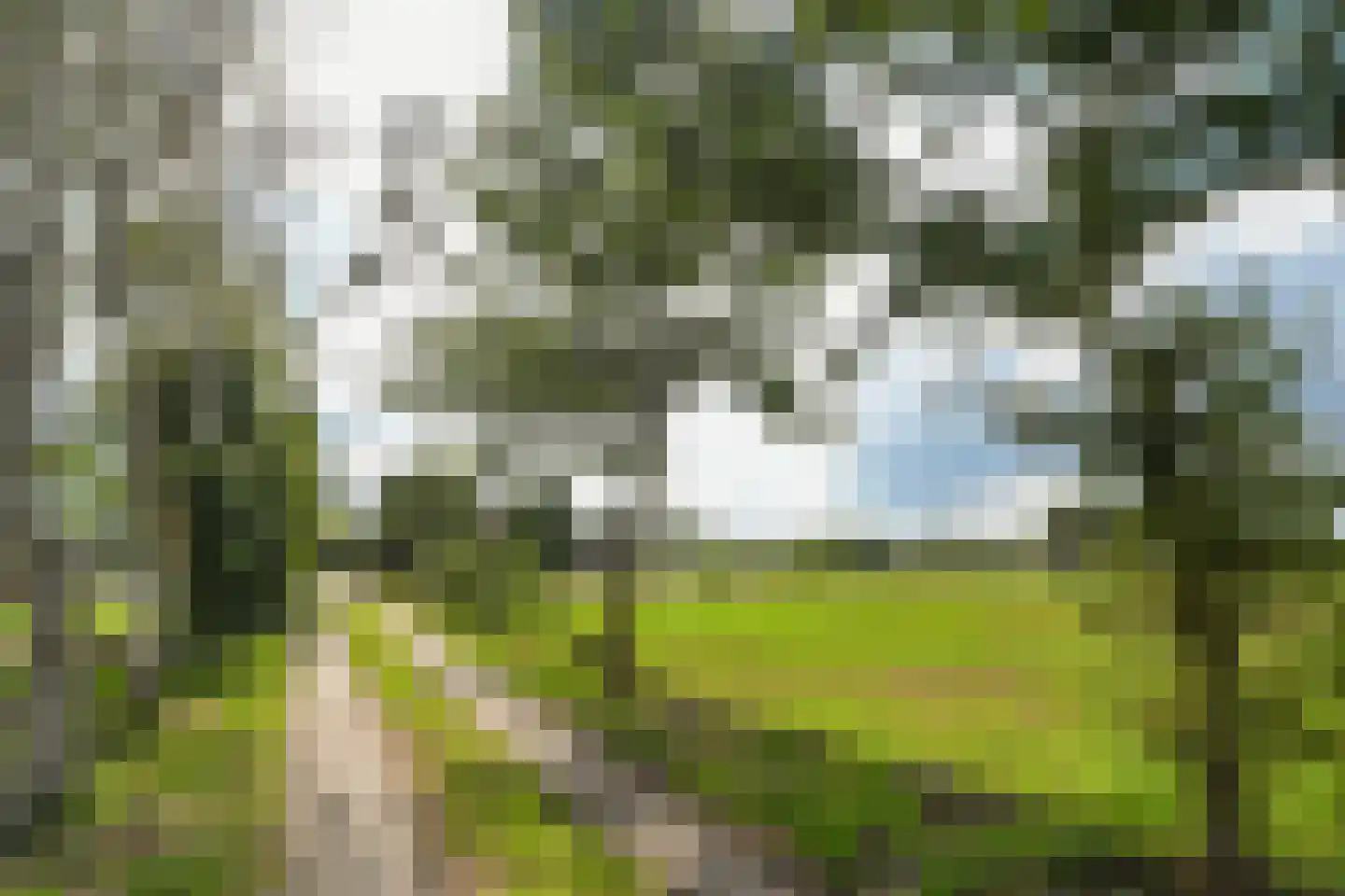 Breetse Peelweg 7 Maasbree thumbnail 4