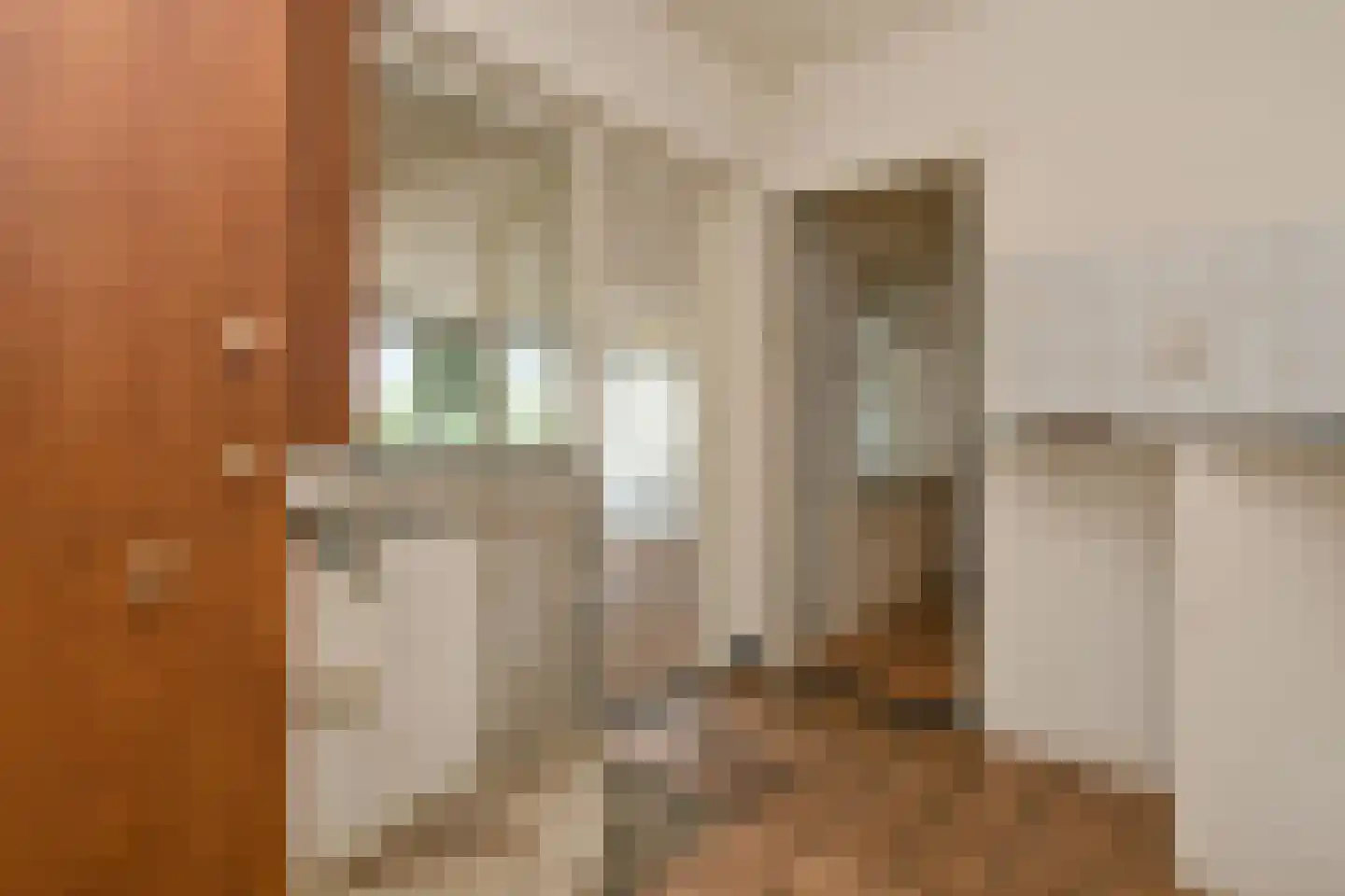 Breetse Peelweg 7 Maasbree thumbnail 47