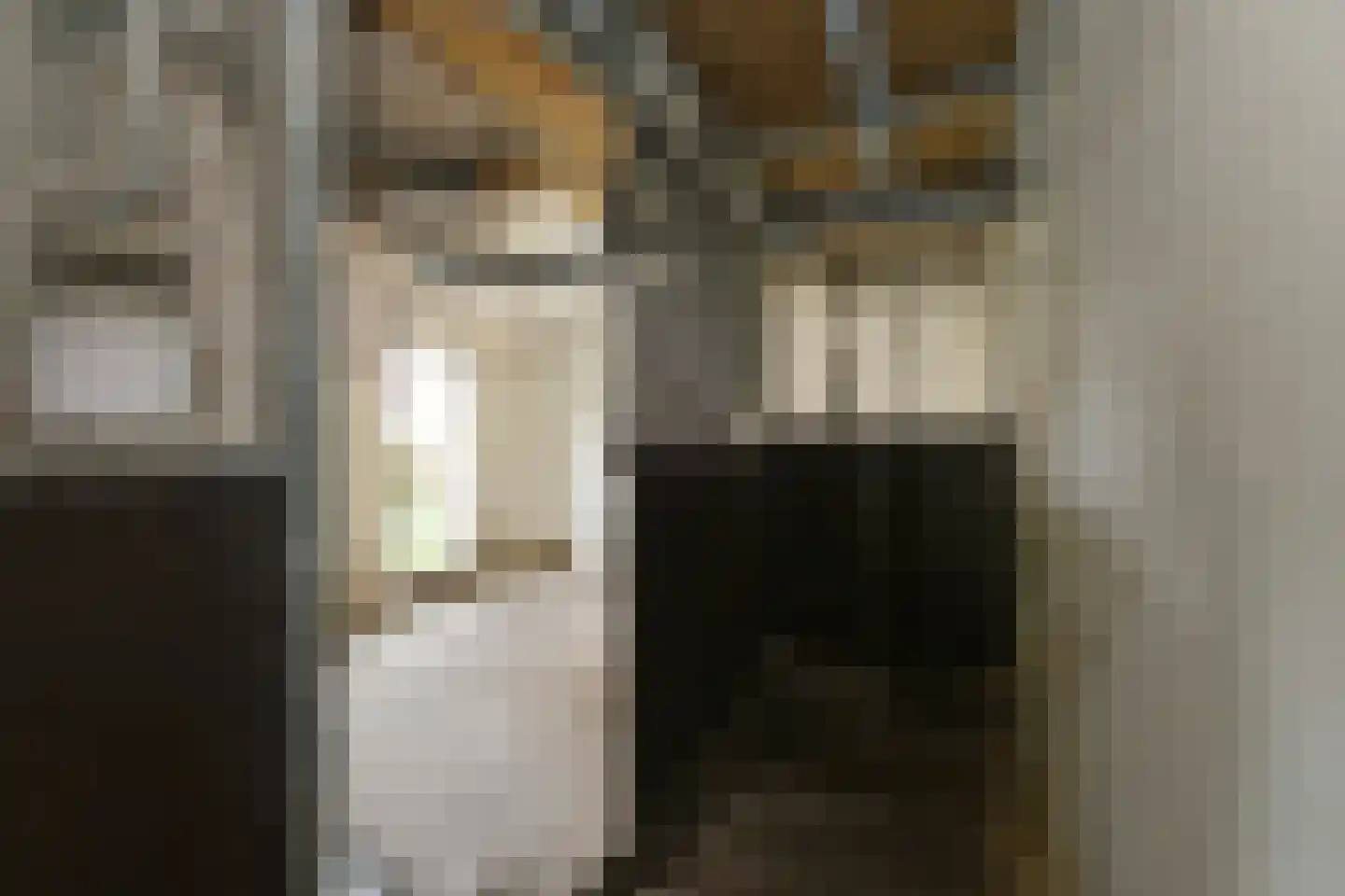 Breetse Peelweg 7 Maasbree thumbnail 63