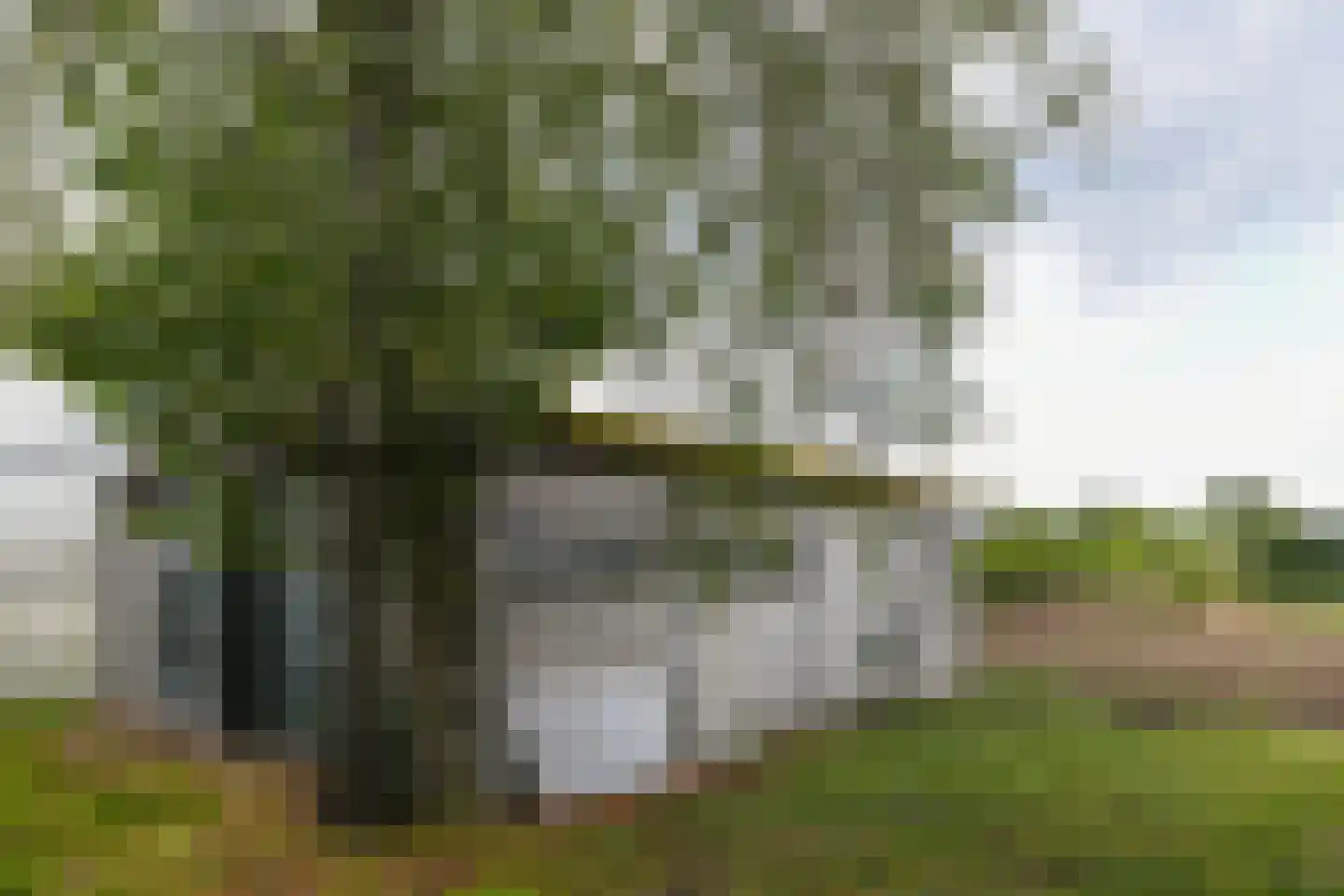 Breetse Peelweg 7 Maasbree thumbnail 68